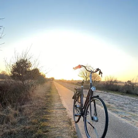 29, Natuurlijk Gelegen Nabij Efteling En Beekse Bergen, Airco & Prive Parkeren Inbegrepen! *