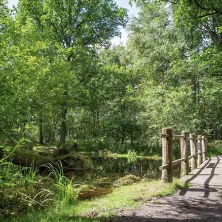Chalet Boshuis 29 Oisterwijk