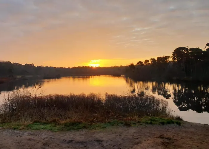 29, Natuurlijk Gelegen Nabij Efteling En Beekse Bergen, Airco&privé Parkeren Inbegrepen! Chalet