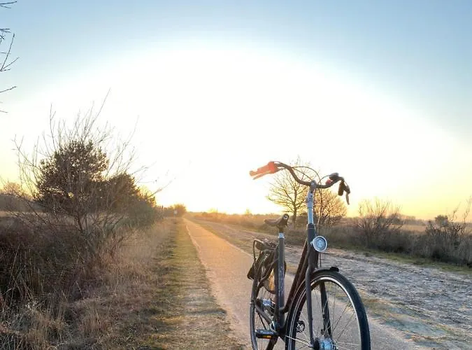 29, Natuurlijk Gelegen Nabij Efteling En Beekse Bergen, Airco & Prive Parkeren Inbegrepen! *